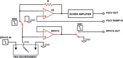 Improved circuitry and post-processing for interleaved fast-scan cyclic voltammetry and electrophysiology measurements